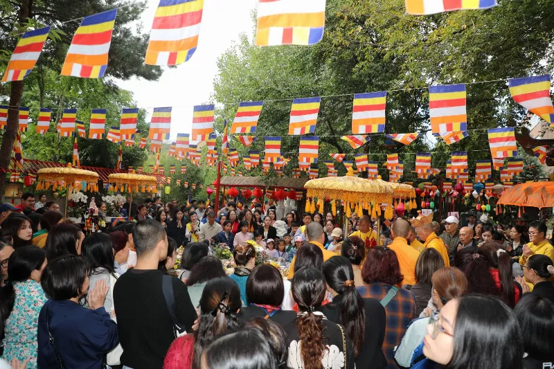 932A7392 (20)1758009064.webp